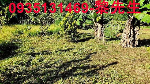 新竹橫山農地-9