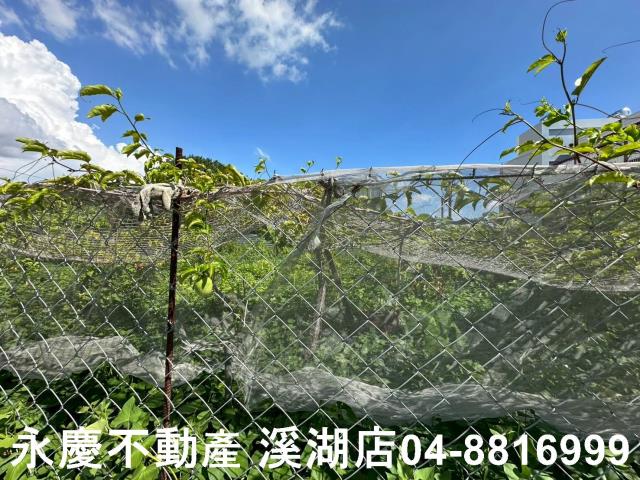 彰化埔心農地-10