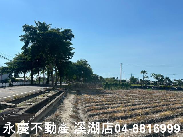 彰化田尾農地-12