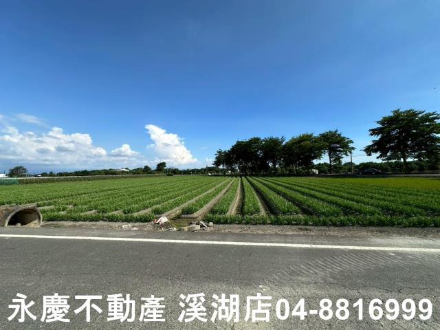 彰化田尾農地-2