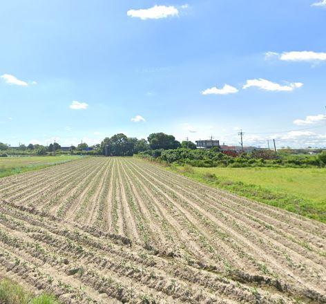 台南新化農地-1