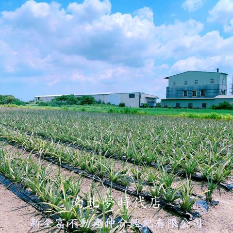 山上農地-10