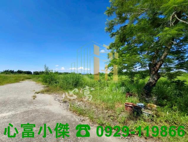 新化工業地-1