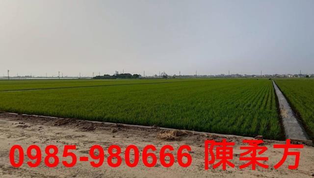 鹿草農地-1