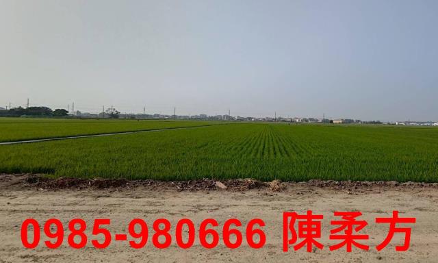 鹿草農地-2