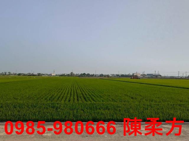 鹿草農地-8