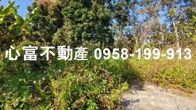 燕巢農地-1