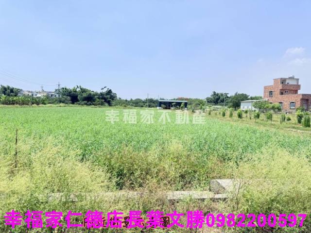 台南農地-5