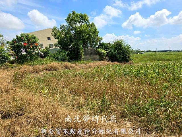 佳里農地-11