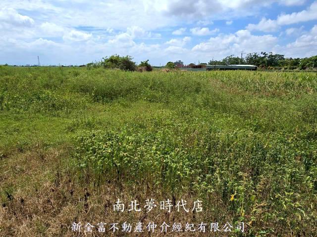 佳里農地-9