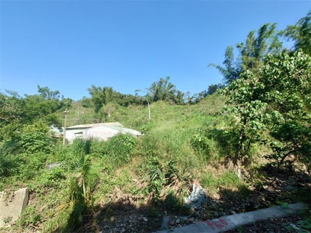 高雄仁武農地-2