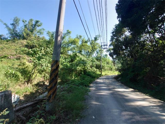 高雄仁武農地-3