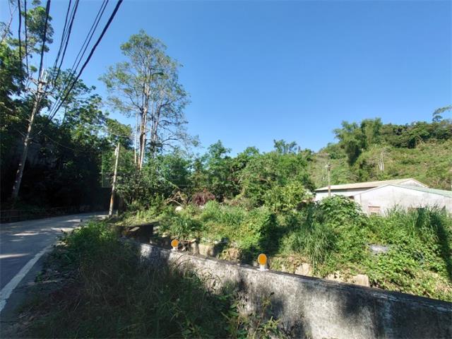 高雄仁武農地-4