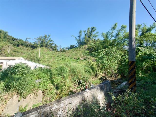 高雄仁武農地-5