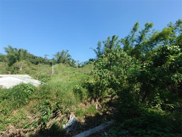 高雄仁武農地-6