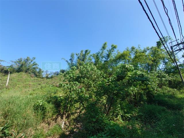 高雄仁武農地-7