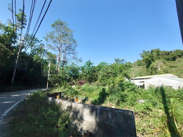 高雄仁武農地-8
