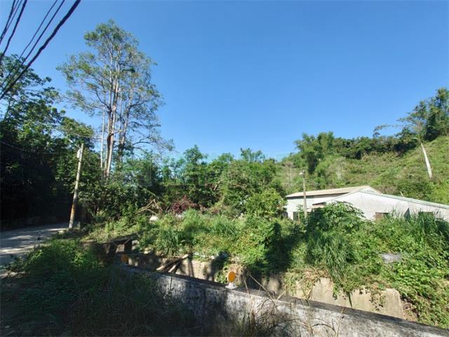 高雄仁武農地-9