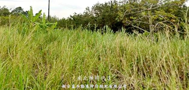 台南關廟農地-1