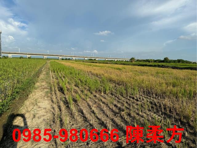 嘉義鹿草農地-1