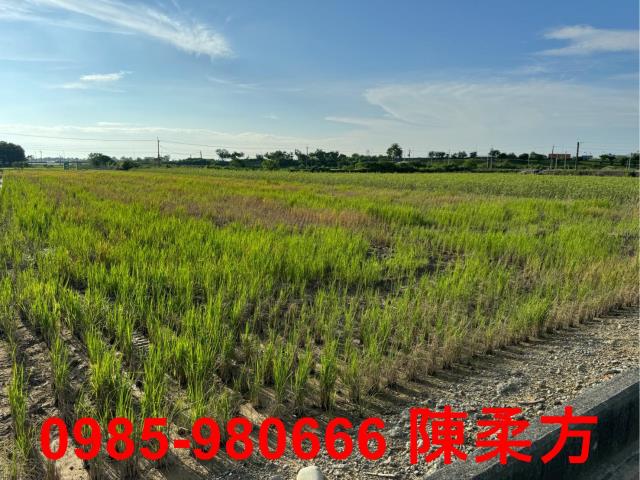 嘉義鹿草農地-4