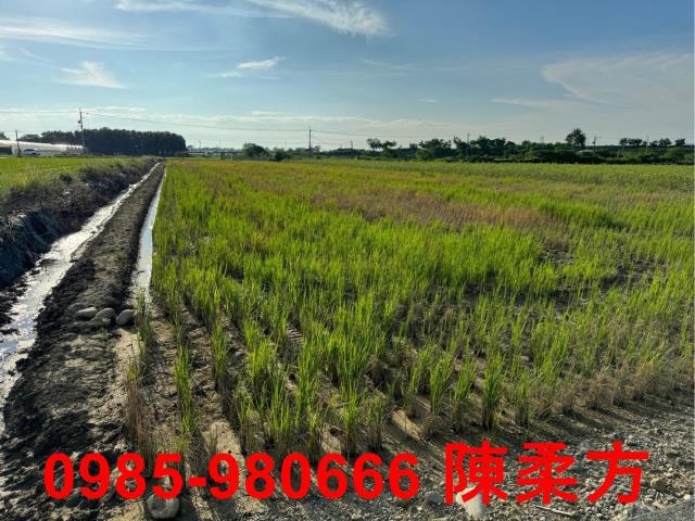 嘉義鹿草農地-5