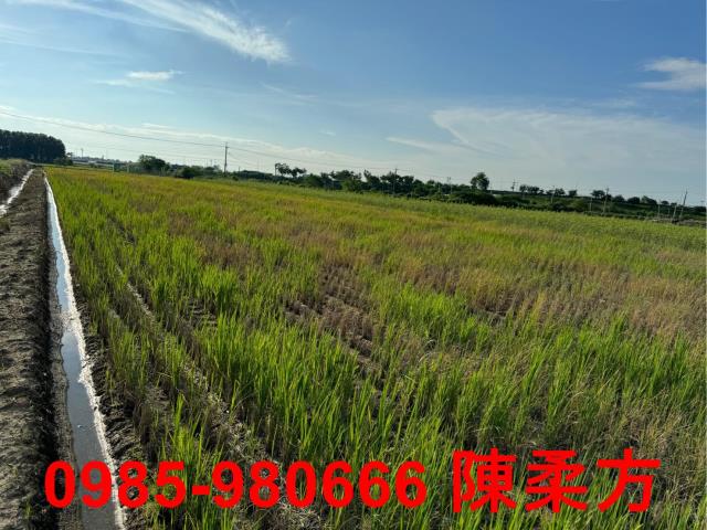 嘉義鹿草農地-6