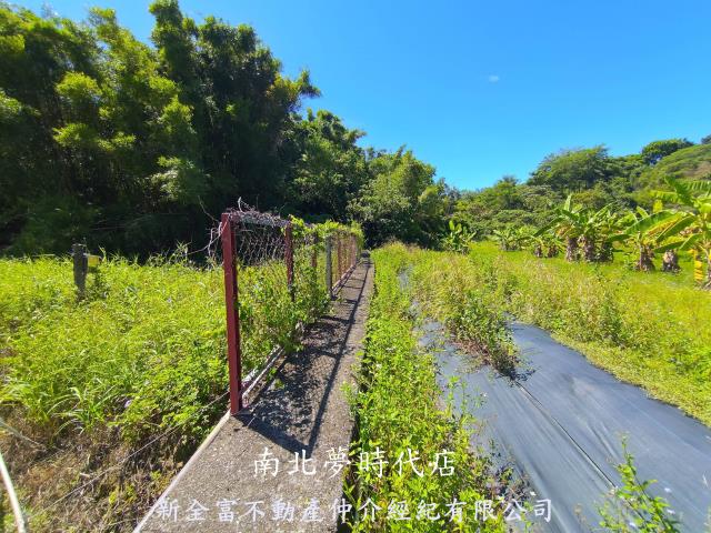 台南新化農地-6