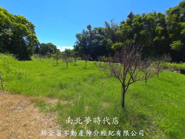 台南新化農地-7
