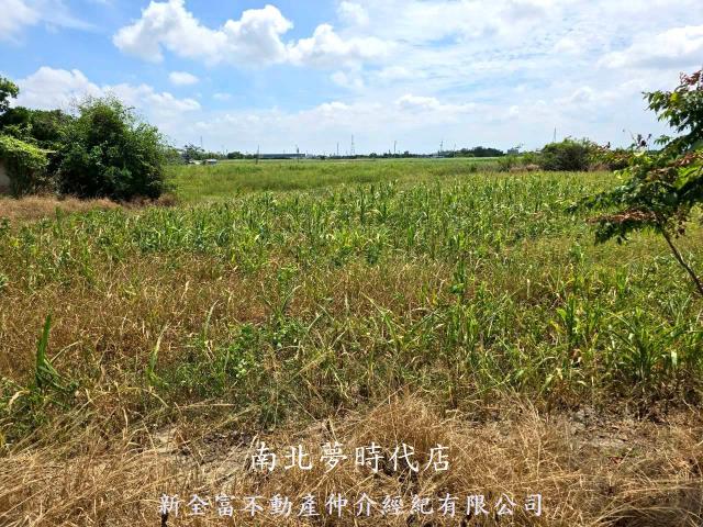 台南佳里農地-10