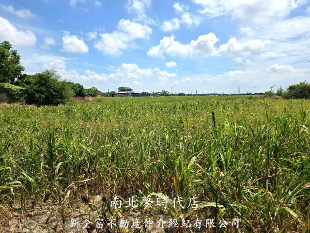 台南佳里農地-12