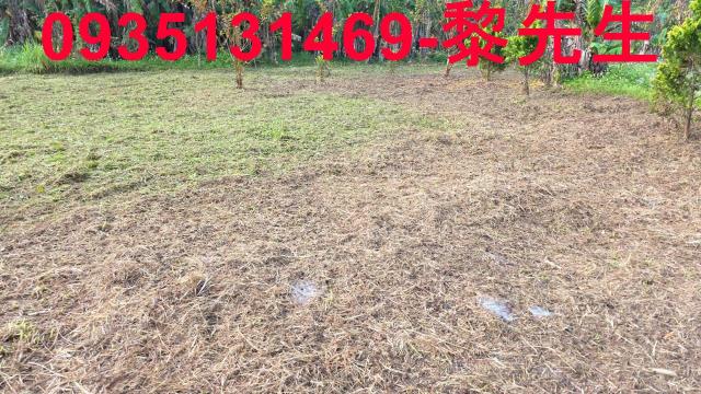 新竹橫山農地-12