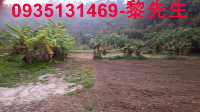 新竹橫山農地-14