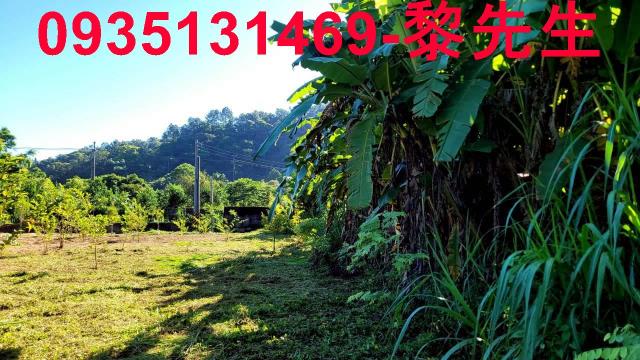 新竹橫山農地-2