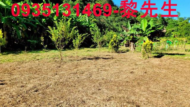 新竹橫山農地-5