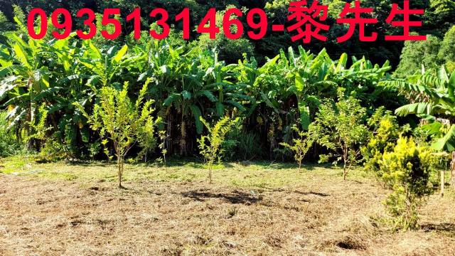 新竹橫山農地-7