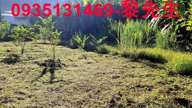 新竹橫山農地-9