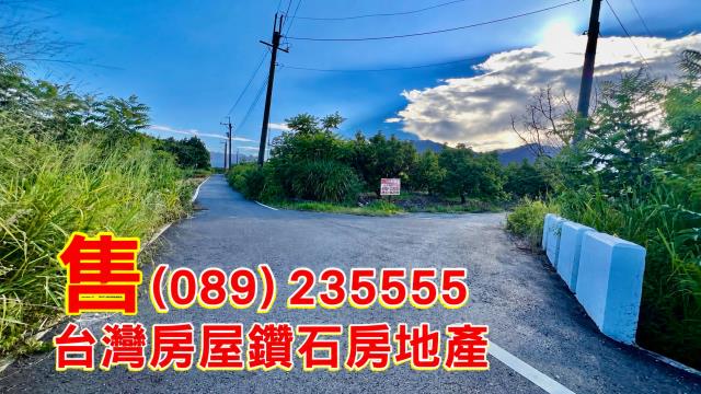 台東市農地-1