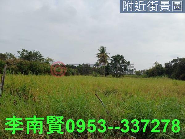 歸仁農地-4