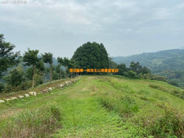 南投農地-10