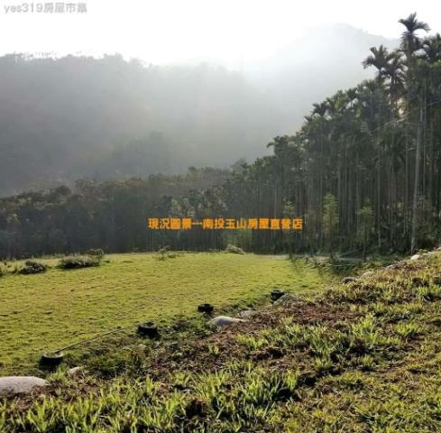 南投農地-3