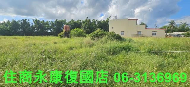 台南關廟農地-5