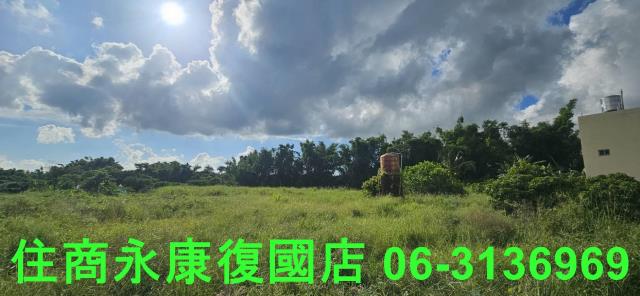 台南關廟農地-6