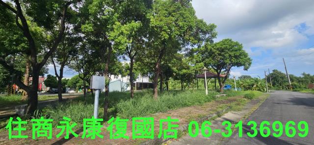 台南關廟農地-5