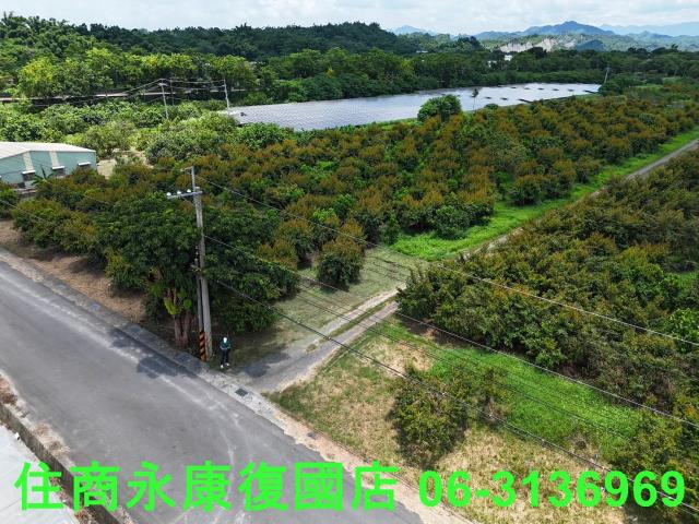 台南大內農地-6