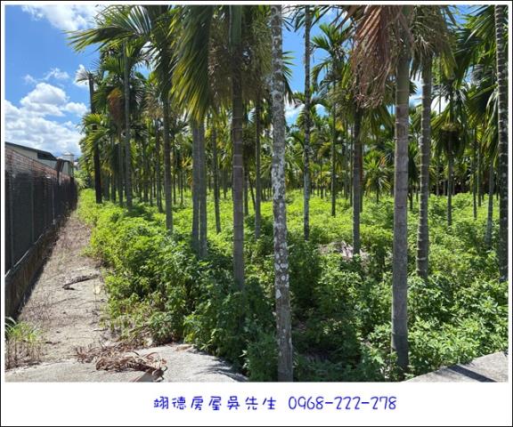 屏東長治農地-8