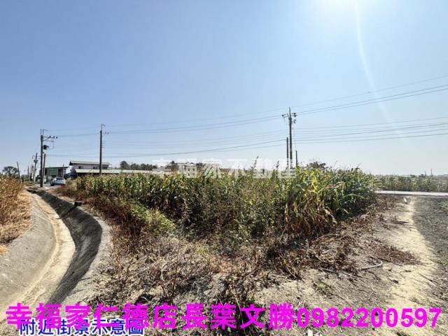 台南佳里農地-14