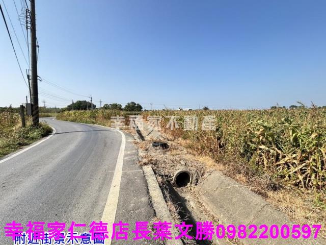 台南佳里農地-9