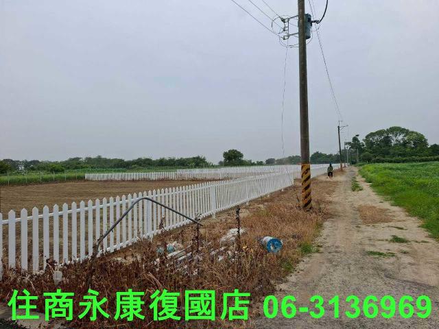 善化農地-11