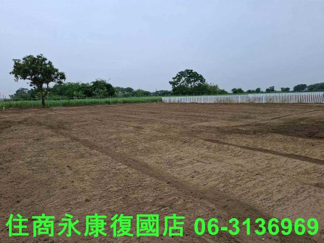 善化農地-5